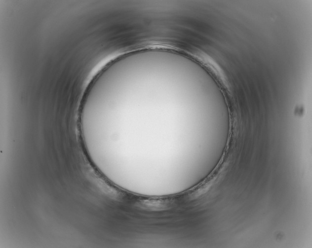 X0000092261182200709141020