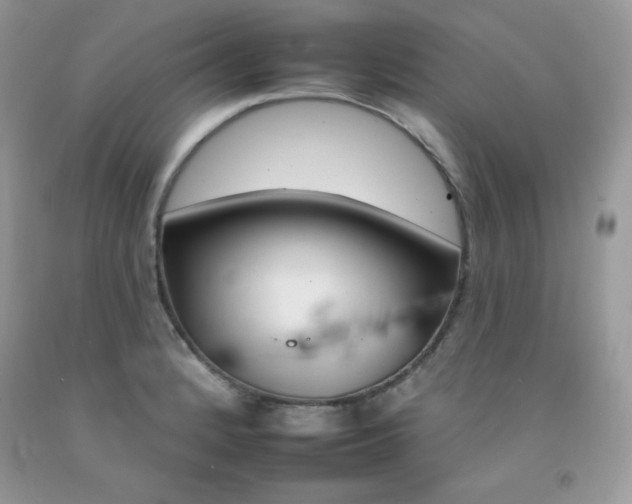 X0000092261184200709141020
