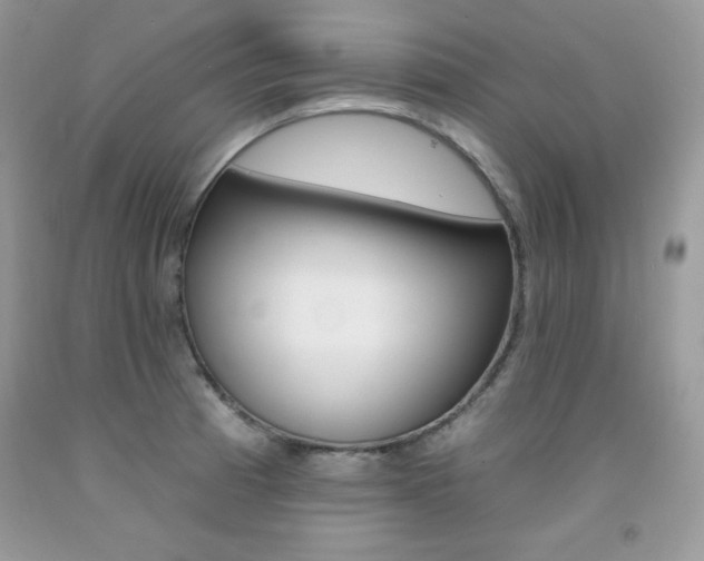 X0000092261185200709141020