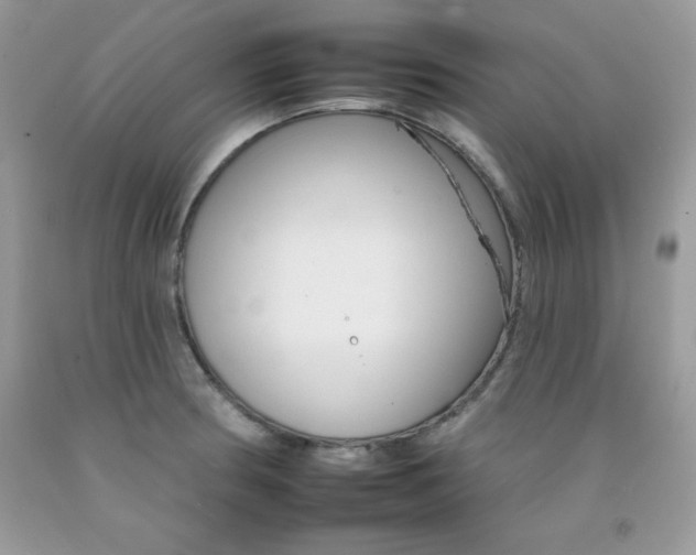 X0000092261186200709141020