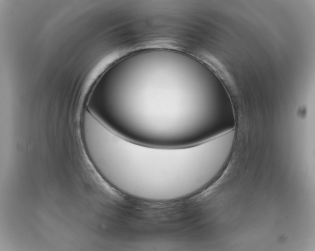 X0000092261188200709141020