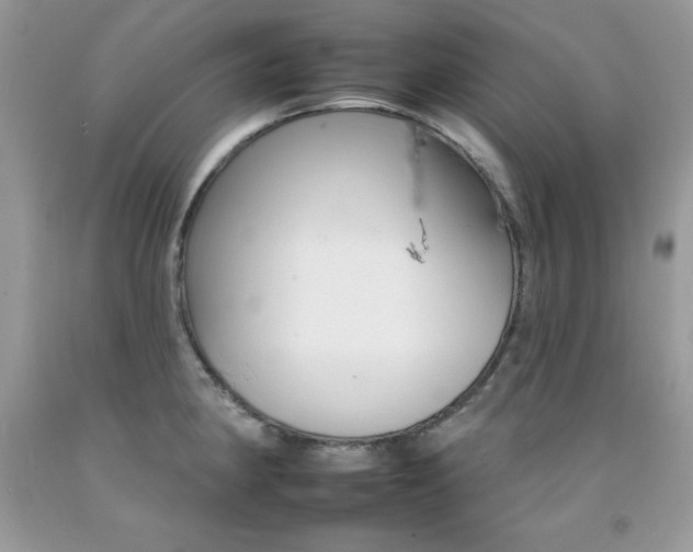 X0000092261190200709141020