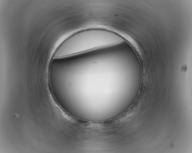 X0000092261191200709141020