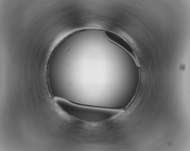 X0000092261192200709141020