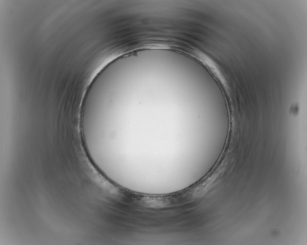 X0000092261194200709141020
