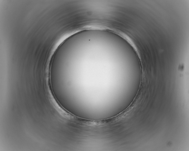 X0000092261195200709141020