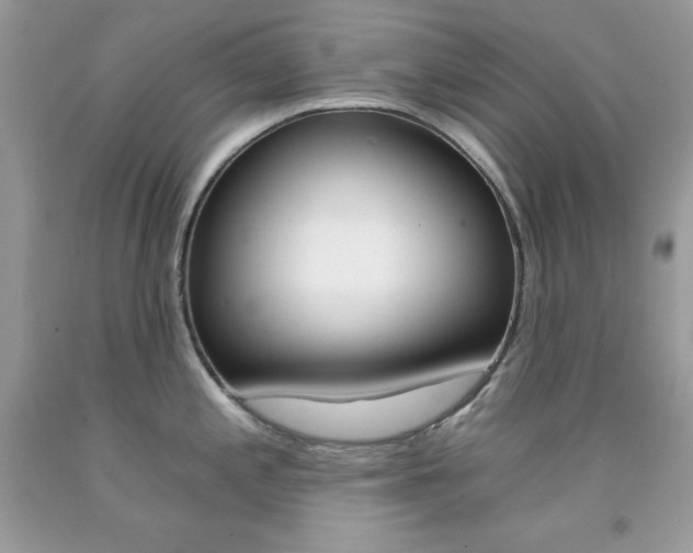 X0000092261197200709141020