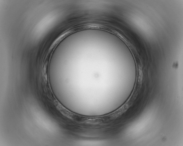 X0000092261198200709141020