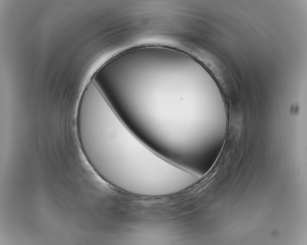 X0000092261199200709141020