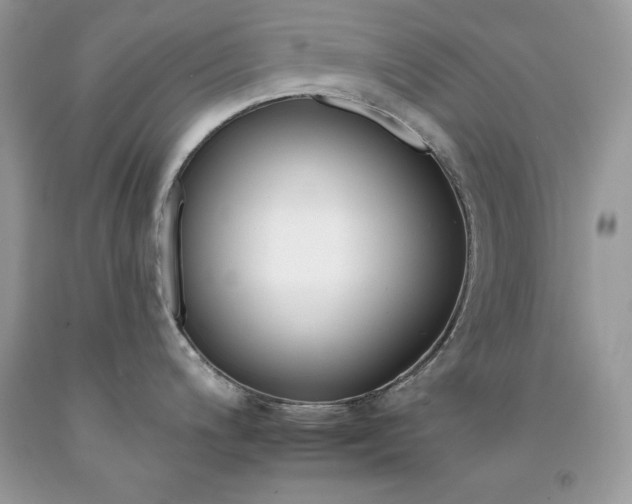 X0000092261200200709141020