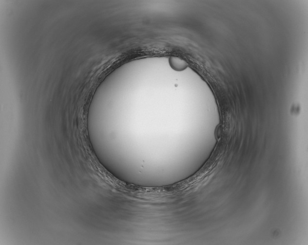 X0000092261201200709141019