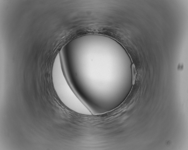 X0000092261202200709141019