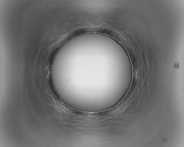 X0000092261204200709141019