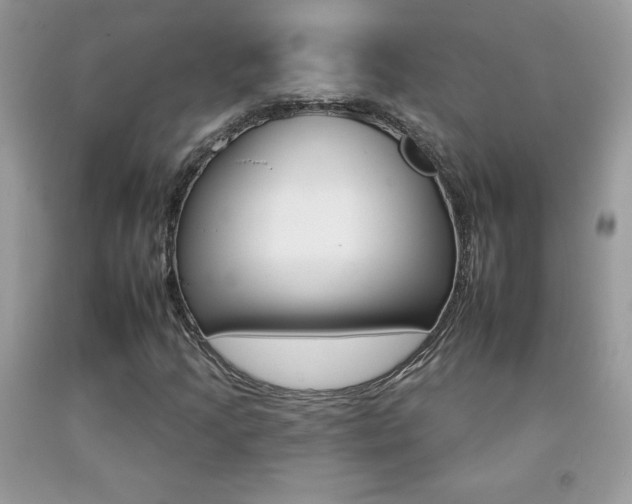X0000092261205200709141019