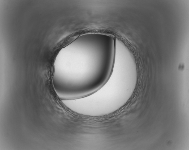 X0000092261206200709141019