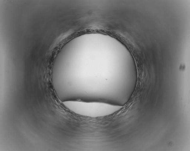 X0000092261207200709141019