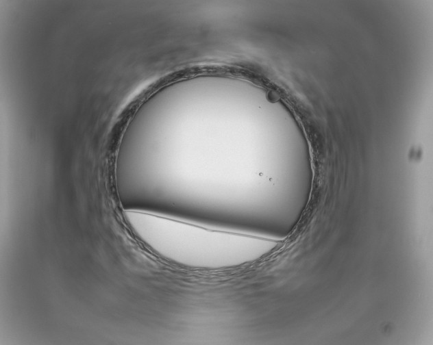X0000092261208200709141019