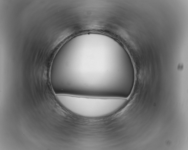 X0000092261209200709141019