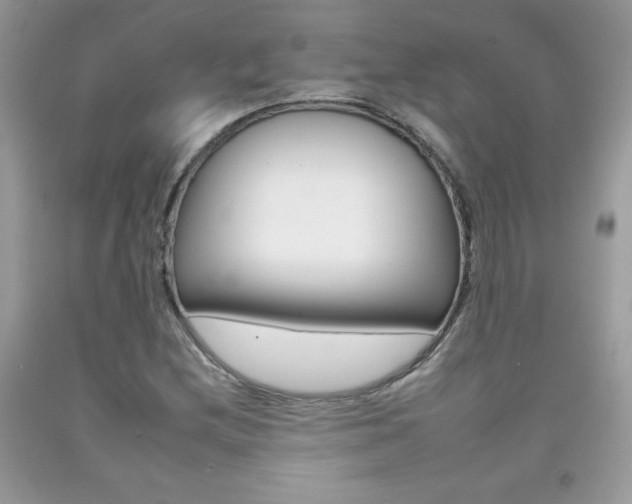 X0000092261212200709141019