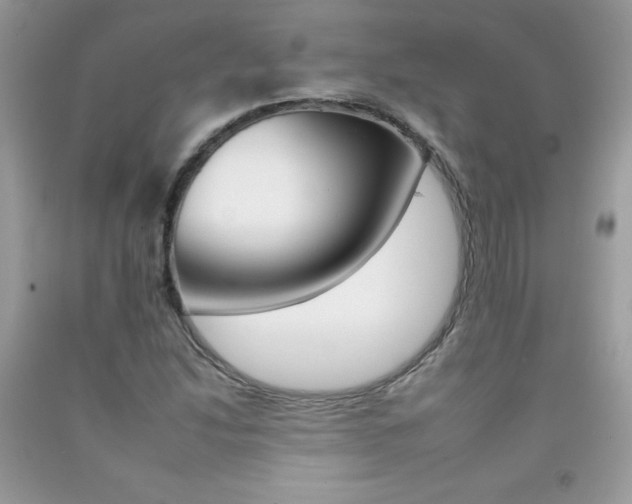 X0000092261214200709141019