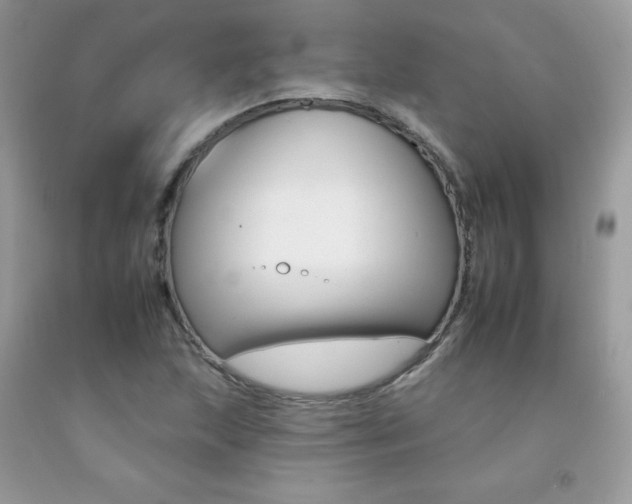 X0000092261215200709141019