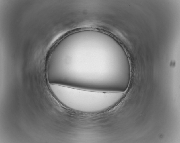 X0000092261216200709141019