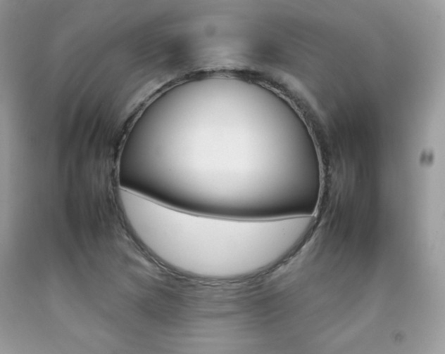 X0000092261217200709141019