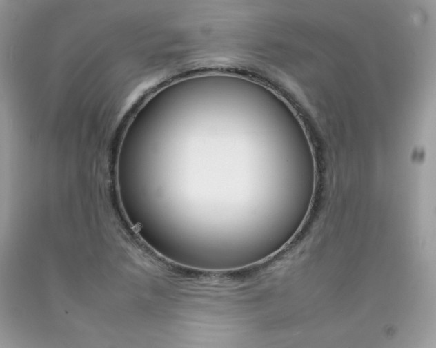 X0000092261218200709141019