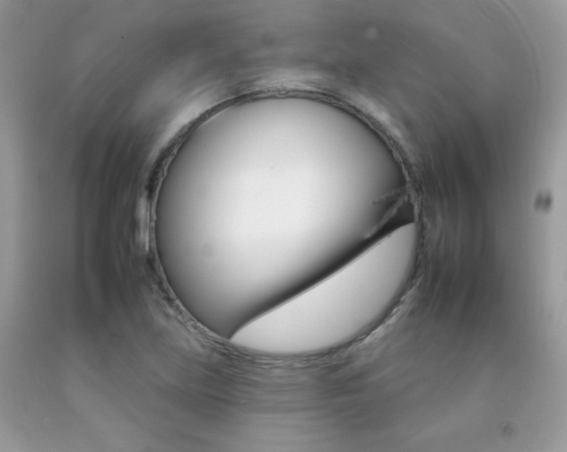 X0000092261219200709141019