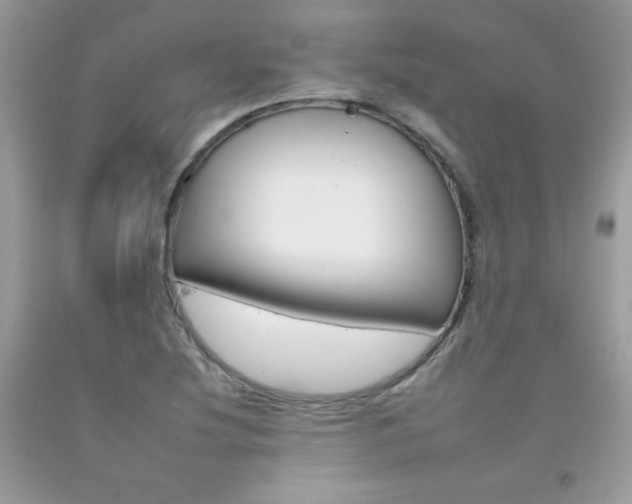 X0000092261220200709141019