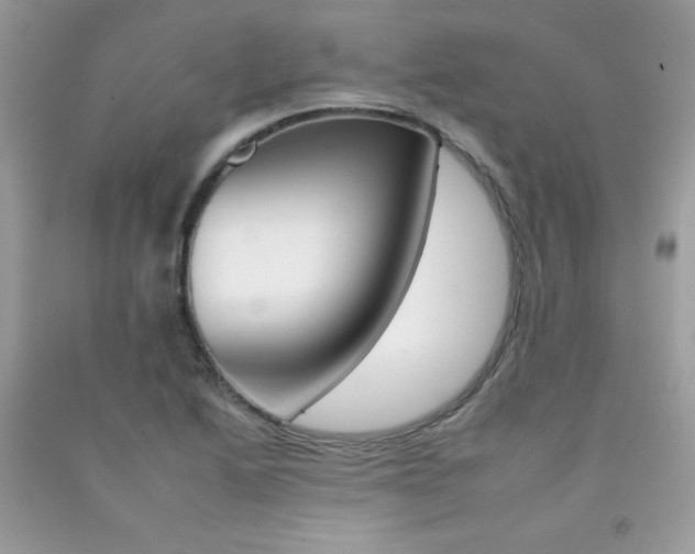 X0000092261222200709141019