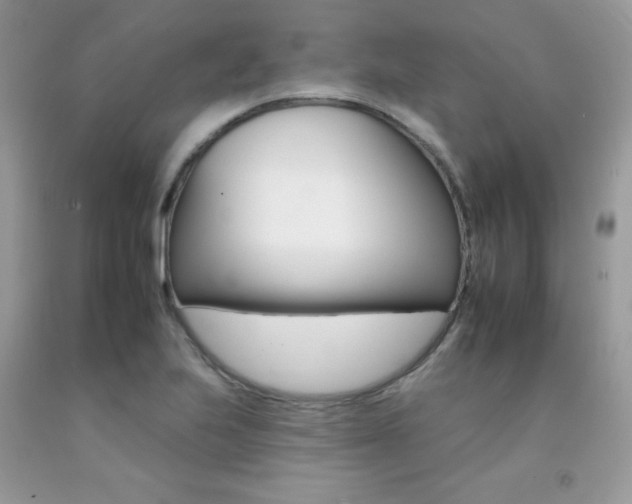 X0000092261223200709141019
