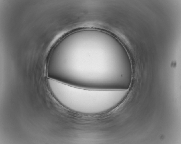 X0000092261224200709141019
