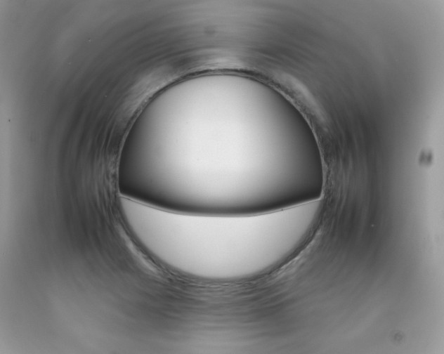 X0000092261225200709141019