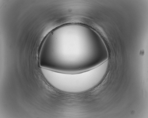 X0000092261226200709141019