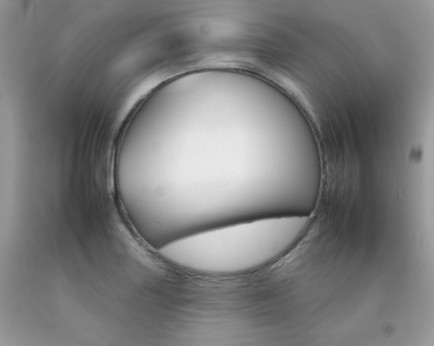 X0000092261227200709141019