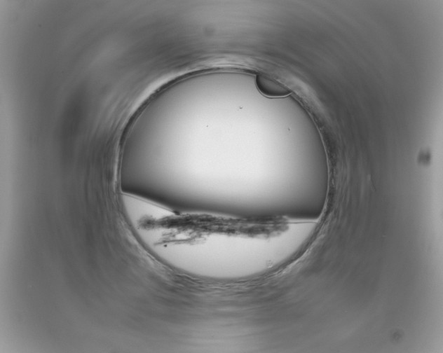 X0000092261228200709141019