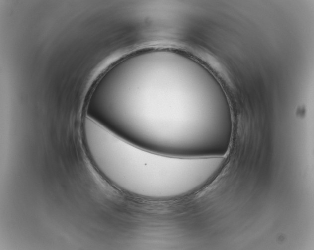 X0000092261229200709141019