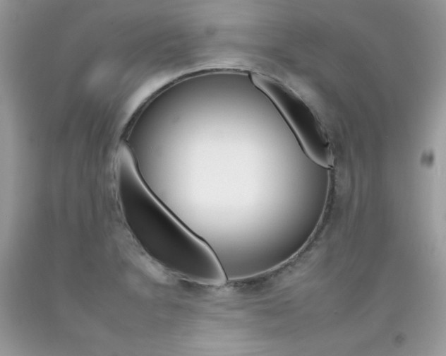 X0000092261230200709141019