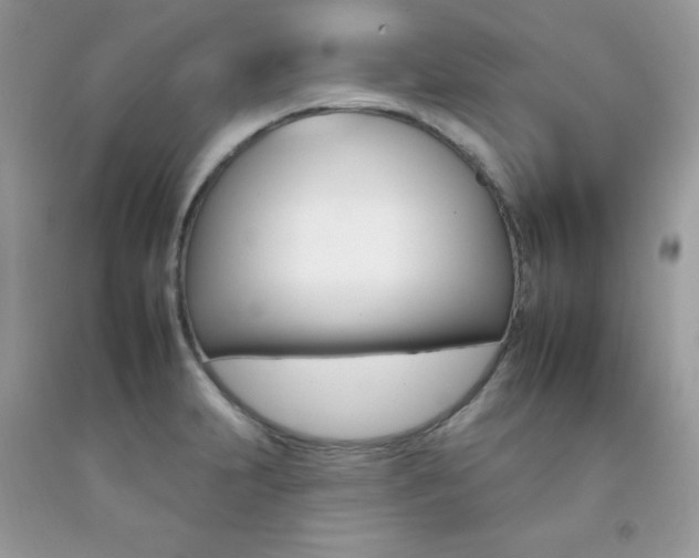 X0000092261231200709141019