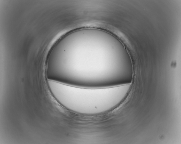 X0000092261232200709141019