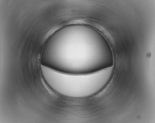 X0000092261233200709141019