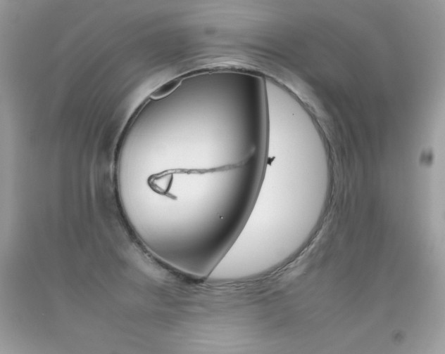 X0000092261234200709141019