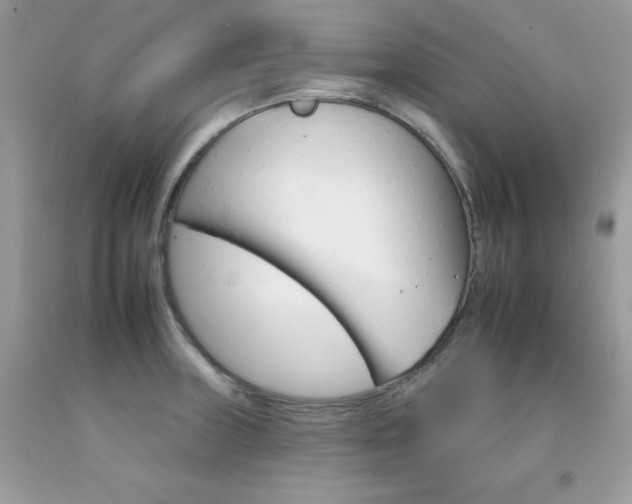 X0000092261235200709141019