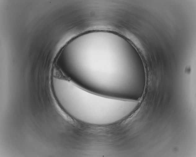 X0000092261237200709141019