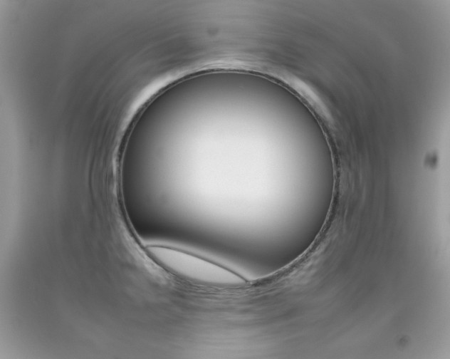 X0000092261238200709141019