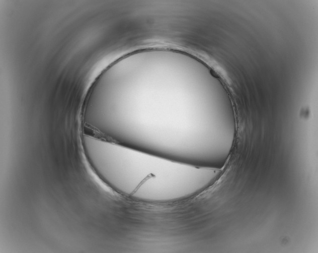 X0000092261239200709141019