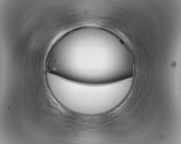 X0000092261240200709141019