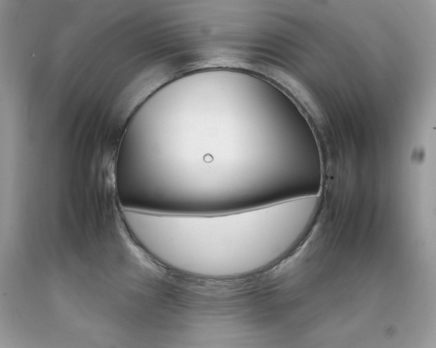 X0000092261241200709141019