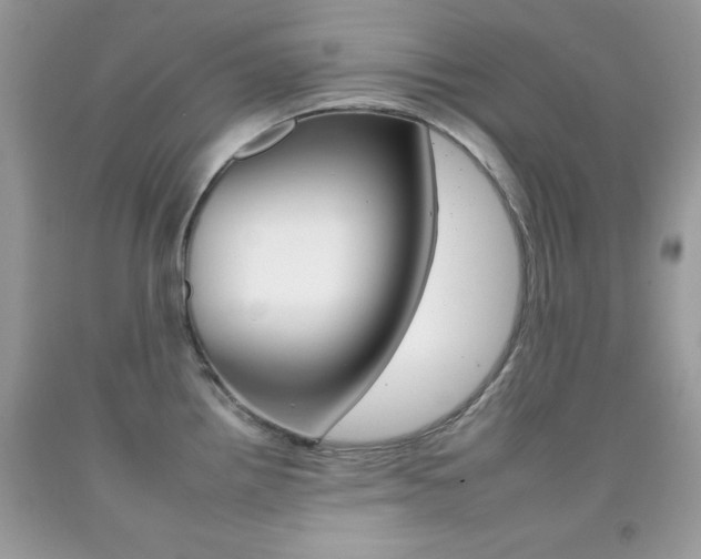 X0000092261242200709141019